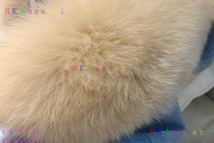 NEW 막스마라 코트 신상 MX 4572221