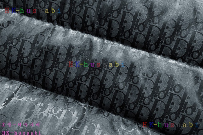 NEW 디올 패딩 신상 DR 452773