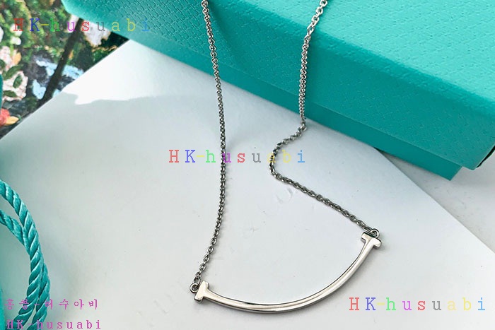 NEW 티파니앤코 목걸이 신상 T 854220