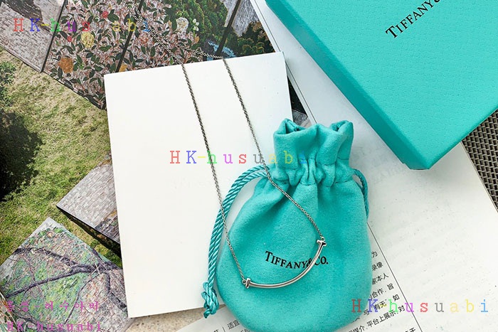 NEW 티파니앤코 목걸이 신상 T 854220