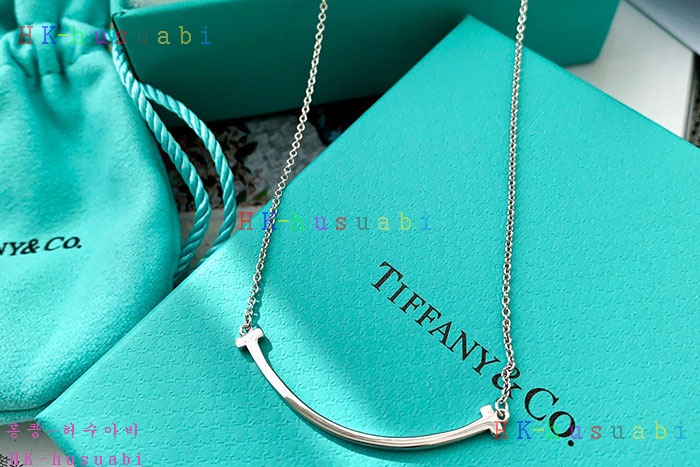 NEW 티파니앤코 목걸이 신상 T 854220