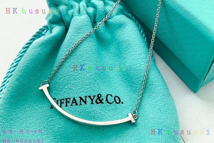 NEW 티파니앤코 목걸이 신상 T 854220