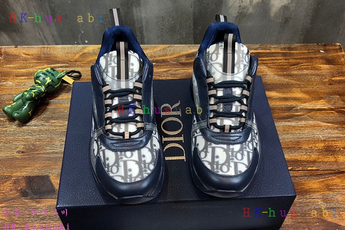 NEW 디올 신발 신상 DR 4258238