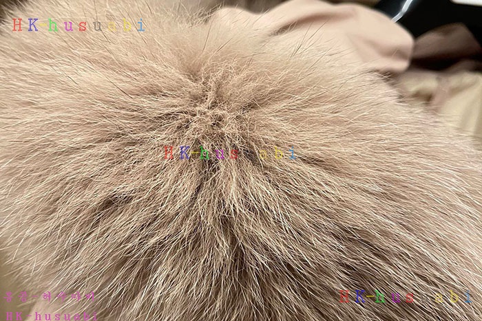 NEW 막스마라 패딩 신상 MX 104420