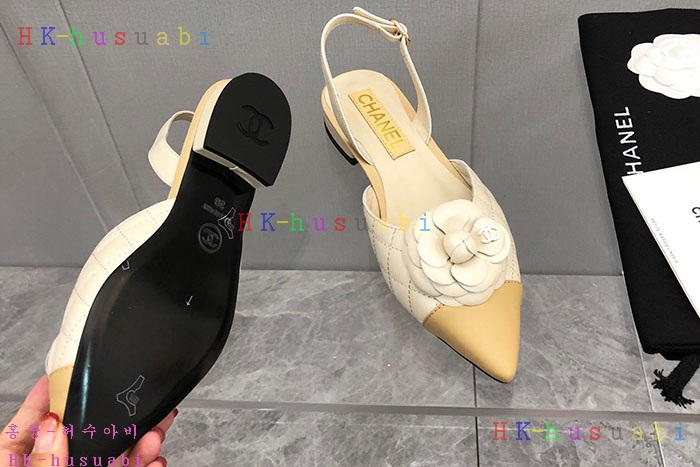 NEW 샤넬 신발 신상 C 7244523