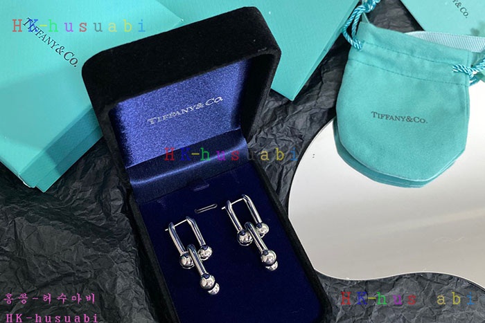 NEW 티파니앤코 귀걸이 신상 T 950012