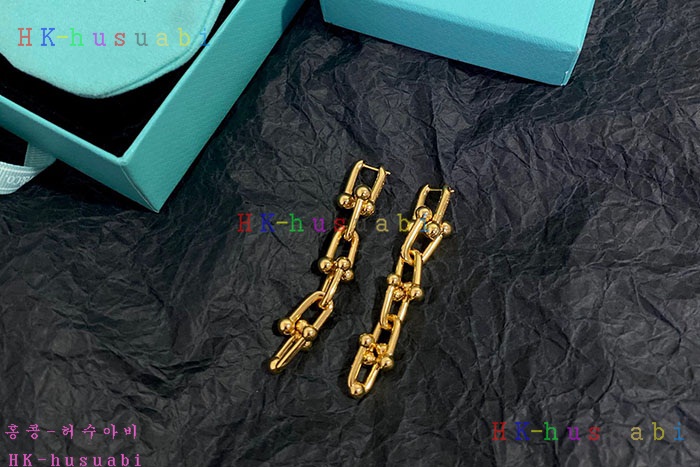 NEW 티파니앤코 귀걸이 신상 T 950015