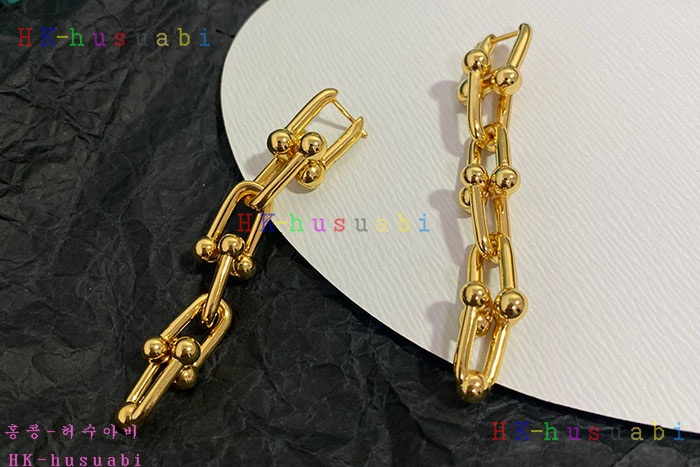 NEW 티파니앤코 귀걸이 신상 T 950015