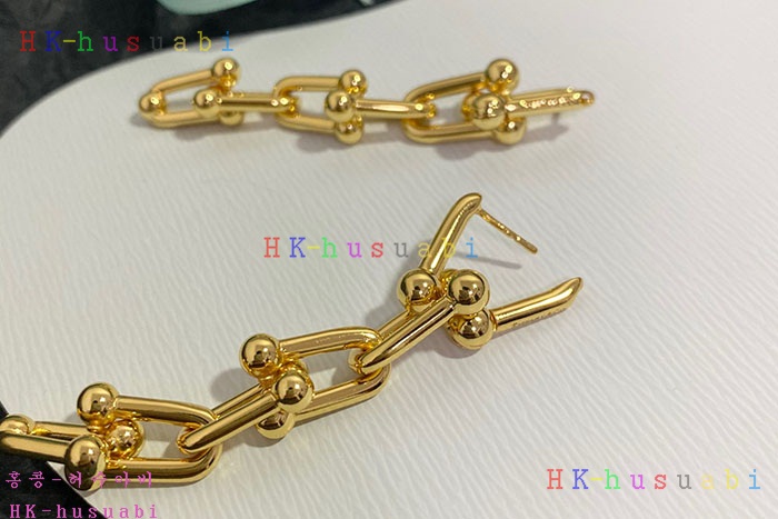 NEW 티파니앤코 귀걸이 신상 T 950015