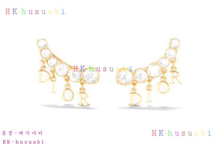 NEW 디올 귀걸이 신상 DR 6855250
