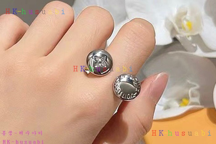 NEW 루이비통 귀걸이 신상 LV 955811