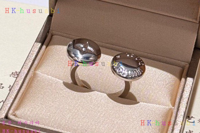 NEW 루이비통 귀걸이 신상 LV 955811