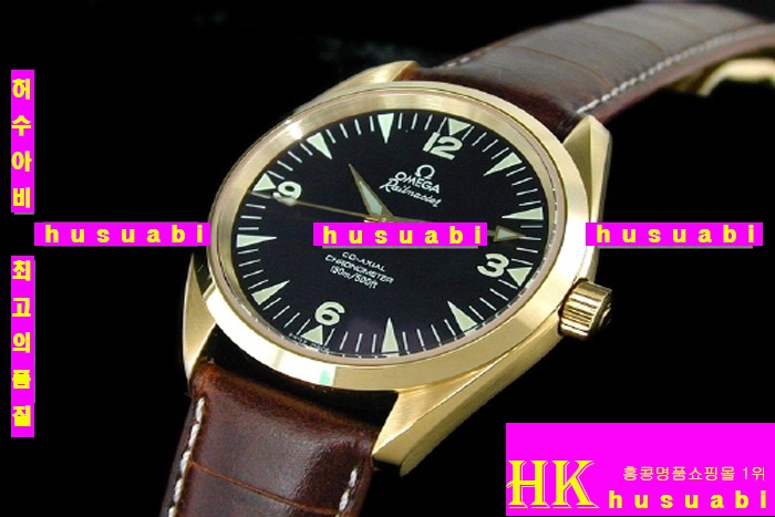 오메가 시계 RAILMASTER GOLDEN LIMITED EDITION