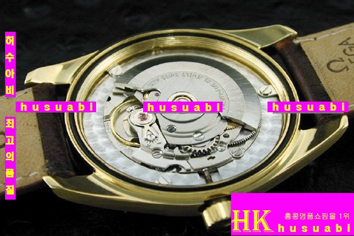 오메가 시계 RAILMASTER GOLDEN LIMITED EDITION