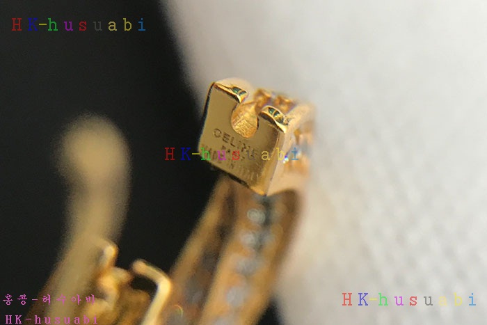 NEW 셀린느 귀걸이 신상 C 840114