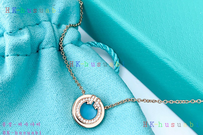NEW 티파니앤코 목걸이 신상 T 854225