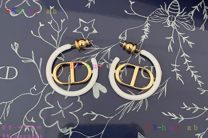 NEW 디올 귀걸이 신상 DR 968566