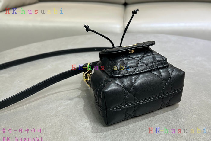 ڹ̷ޡڵ Dior Caro ī   Ŷ S5250 